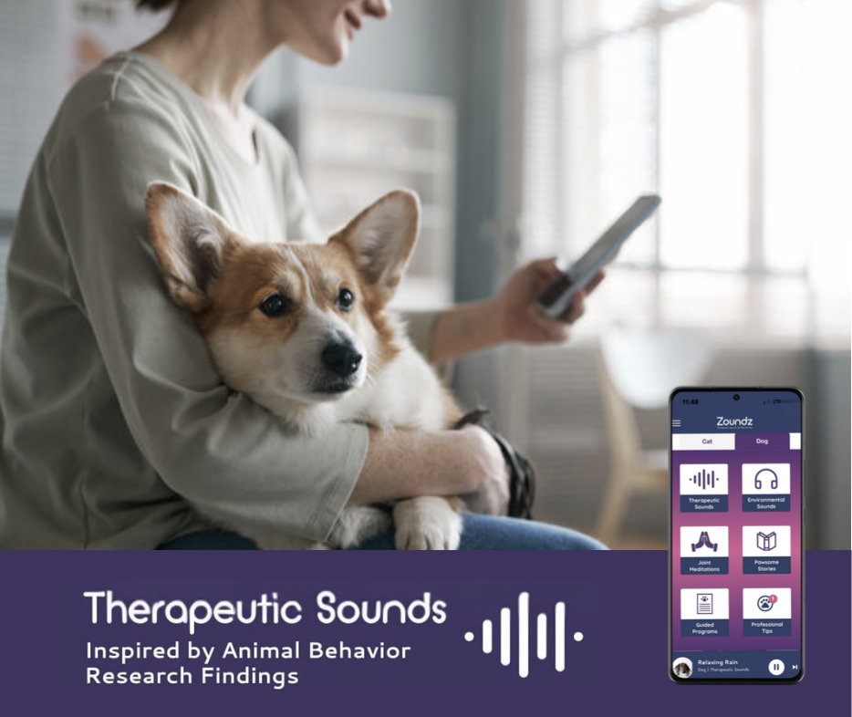 Woman holding a corgi while using the Zoundz app